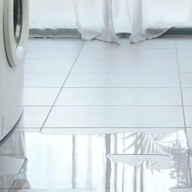 Appliance Leak Cleanup in Orangeburg County, SC
