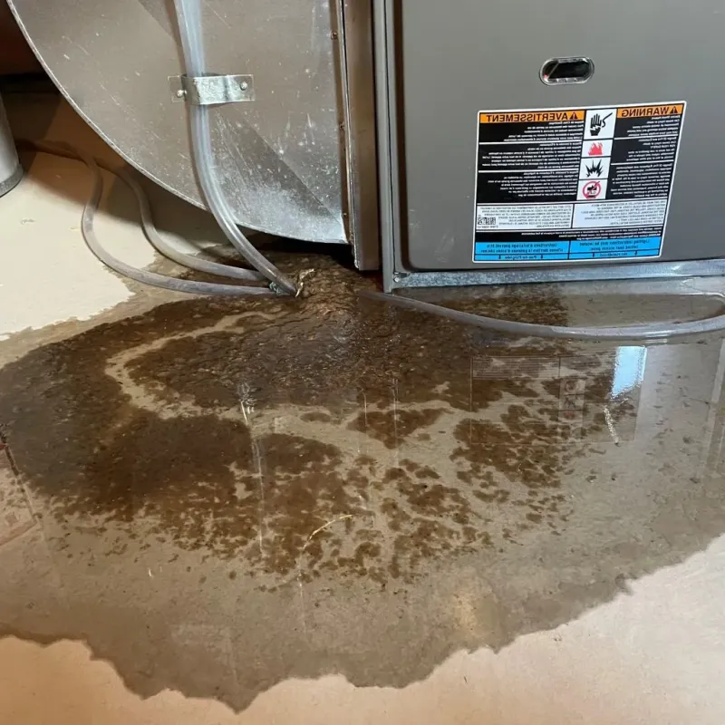 Pipe Burst and Leak Restoration in Orangeburg County, SC