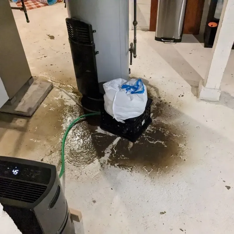 Sewage Backup Cleanup Service in Orangeburg County, SC